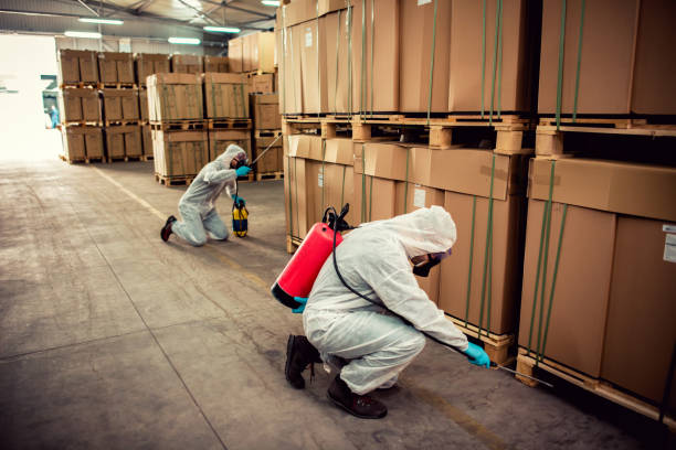 Professional Pest Control in New Paris, OH