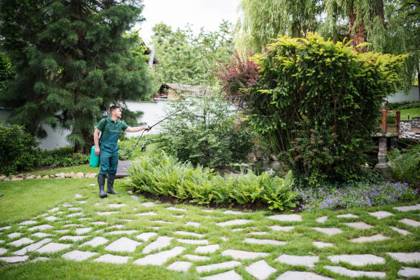 Best Ant Control Services  in New Paris, OH