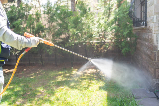Best Mosquito Control Services  in New Paris, OH